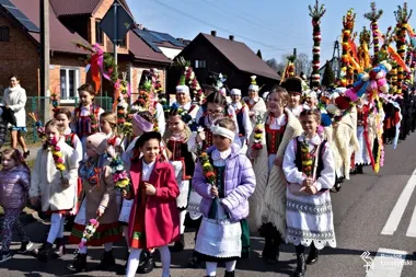 Kurpiowskie palmy znów poprowadziły Zbójną w stronę świąt